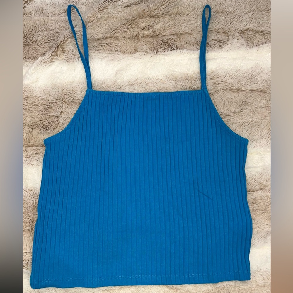 Zara Knit Blue Tank Top